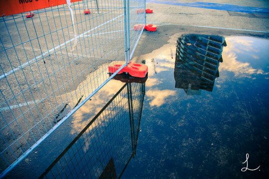 新移民的另类需求