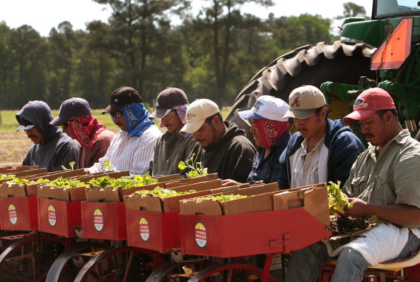 西澳行业收入差异巨大:男医生周入$4,213居首 西澳行业收入差异巨大:男医生周入$4,213居首