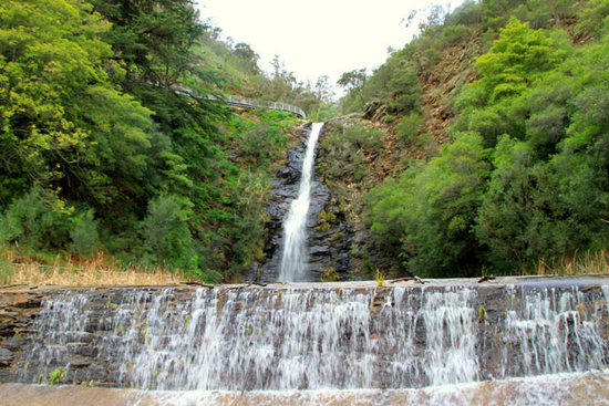 Waterfall Gully