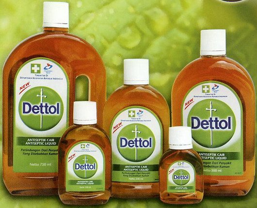 澳洲最信赖品牌揭晓 滴露邦迪榜上有名_澳洲房