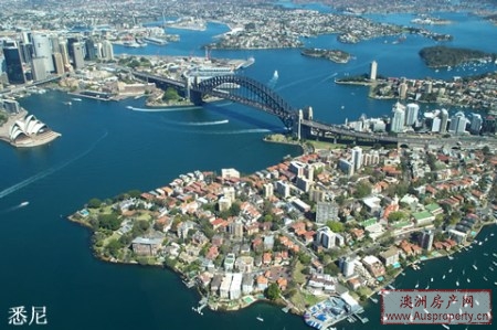 悉尼