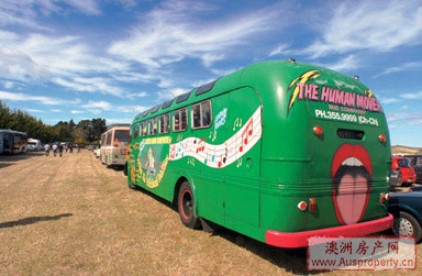 恐被取消：墨尔本免费巴士失去经营费用来源