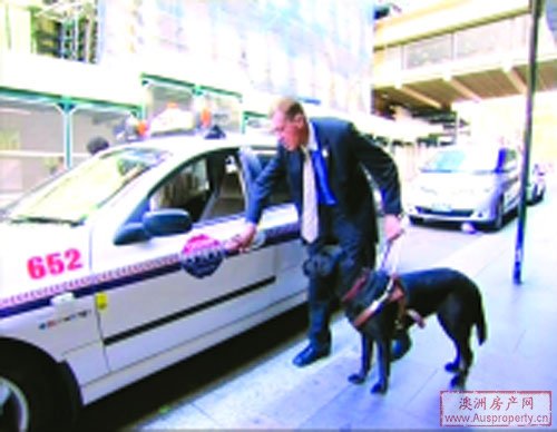 失明的反残障歧视专员手摸车身的凸字捉拒载的士司机。