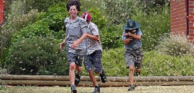 几十亿蝗虫过境澳洲东南部景象骇人