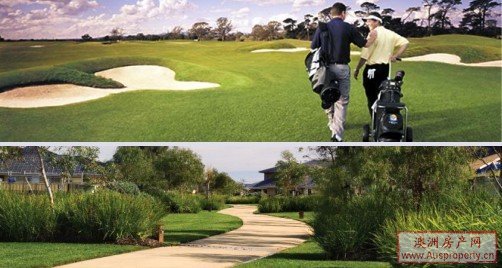 高尔夫风景