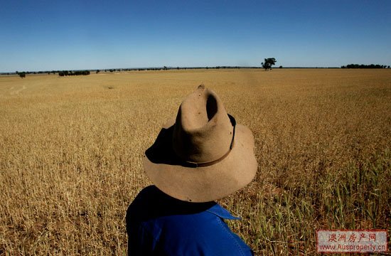 澳洲经营农场