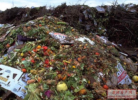 新州的垃圾日益增多，堆积如山