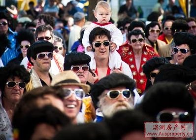 新州小镇&ldquo;猫王节&rdquo;1.5万乐迷蜂拥而至