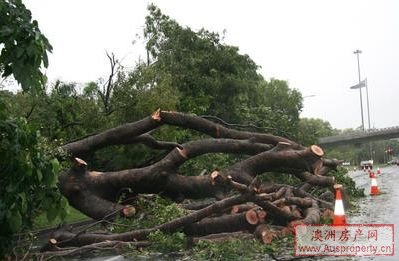飓风卡洛斯袭达尔文 屋毁水淹 飓风卡洛斯袭达尔文 屋毁水淹