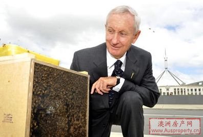 亚洲蜜蜂传入 威胁澳食品业