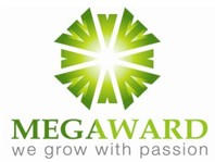 MEGAWARD PROPERTY GROUP 