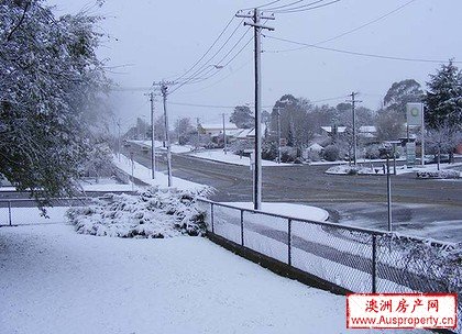 新州中西部普降大雪