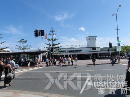 Manly码头旁有公车站。