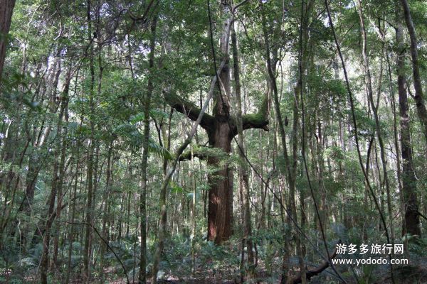 澳洲旅游风景图 澳洲旅游风景图