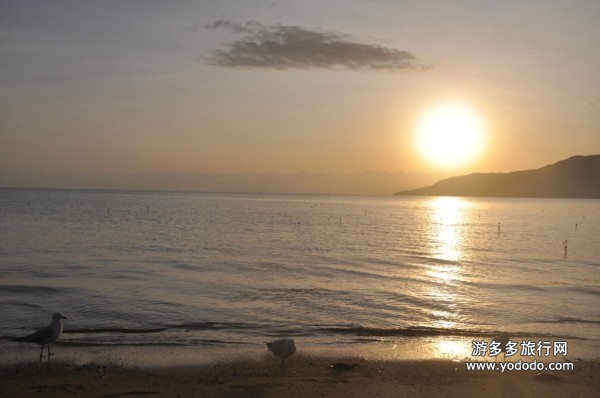 澳洲旅游 澳洲旅游