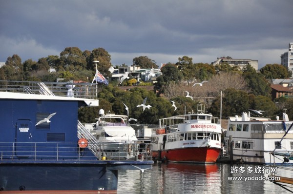 澳洲旅游 澳洲旅游
