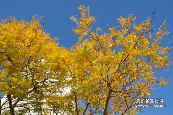 澳洲旅游 澳洲旅游