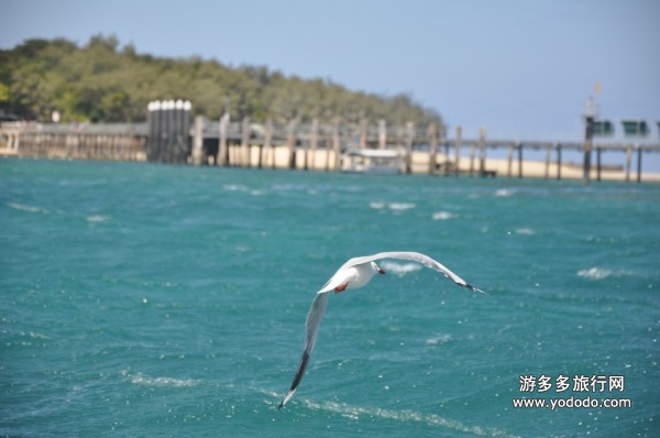 澳洲旅游 澳洲旅游
