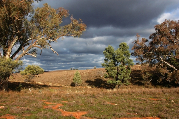 澳洲旅游风景图 澳洲旅游风景图