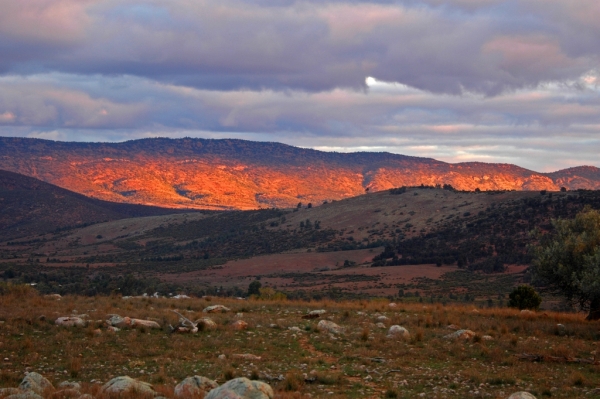 澳洲旅游风景图 澳洲旅游风景图