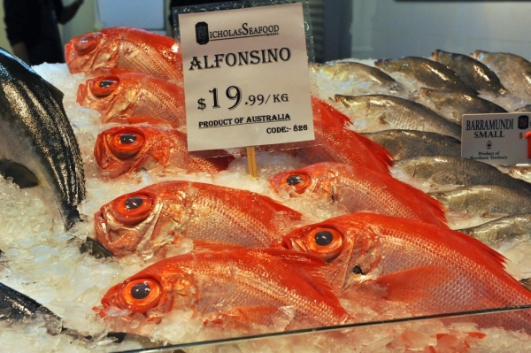 澳洲旅游风景图 澳洲旅游风景图