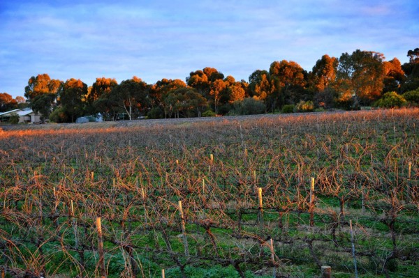 澳洲旅游风景图 澳洲旅游风景图