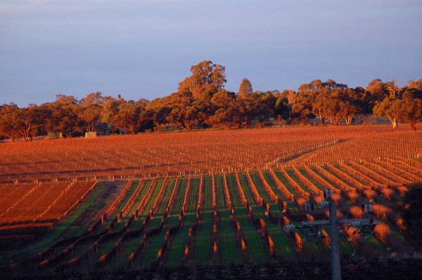 澳洲旅游风景图 澳洲旅游风景图