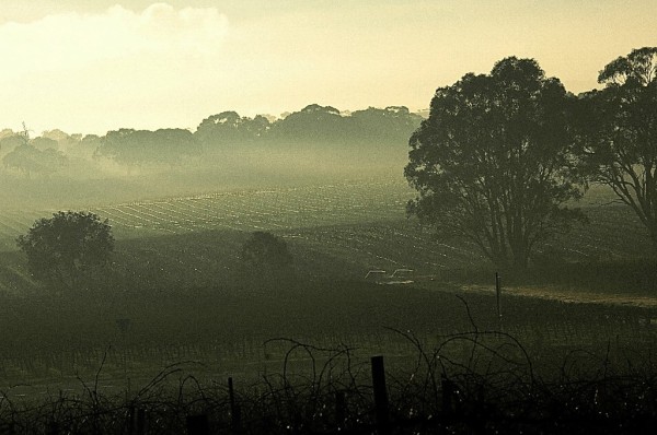 澳洲旅游风景图 澳洲旅游风景图