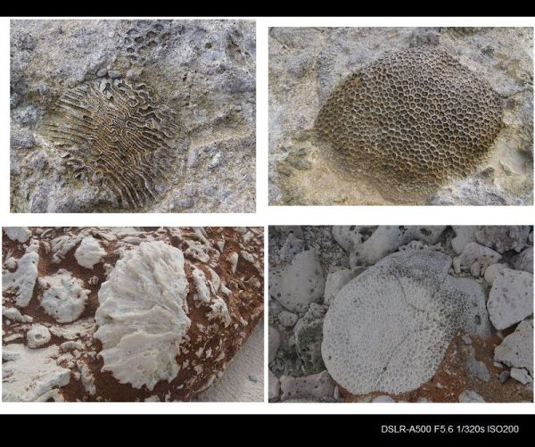 澳洲旅游风景图