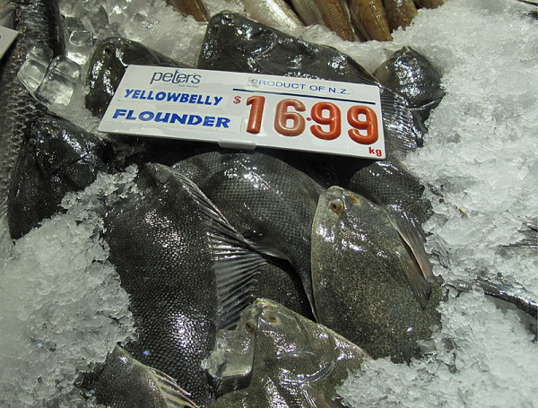 澳洲旅游风景图