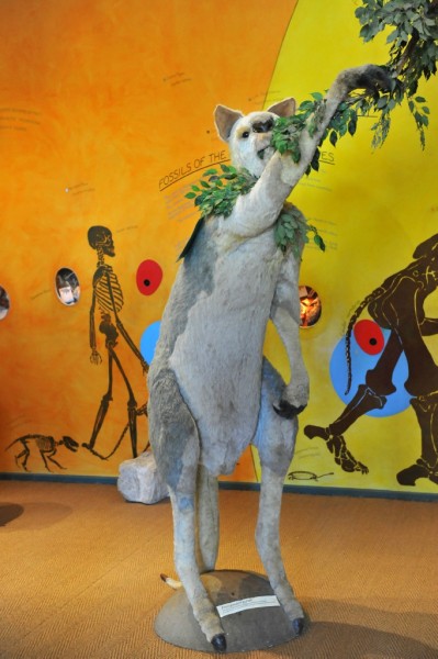 澳洲旅游风景图 澳洲旅游风景图