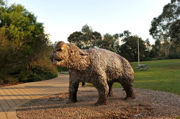 澳洲旅游风景图 澳洲旅游风景图
