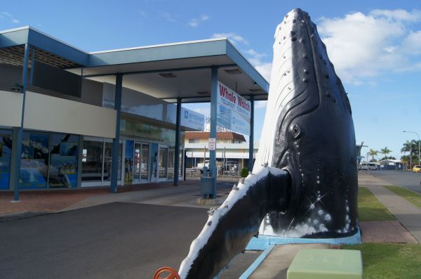 澳洲旅游风景图