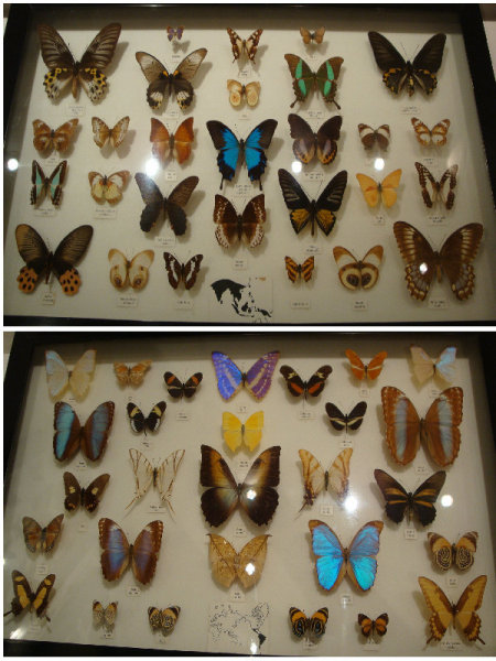 澳洲旅游风景图