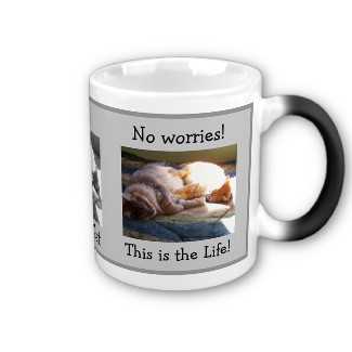 澳洲人的格言 – No Worries