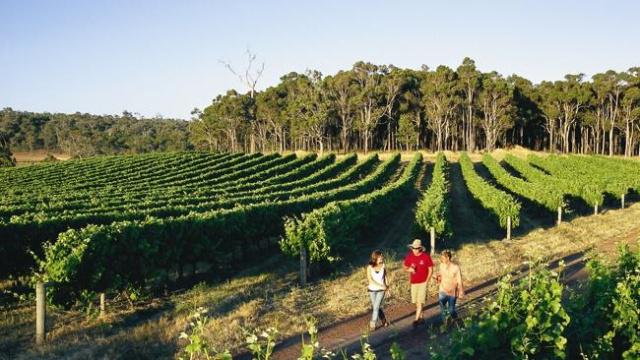 澳大利亚旅游最佳十个城市