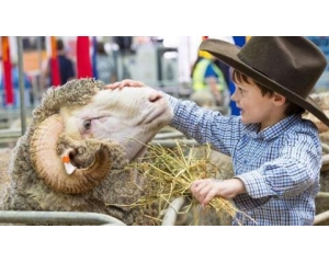 悉尼Easter Show今天开幕啦！今年节目更丰富好玩！