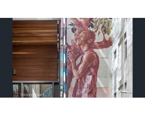 墨尔本精品公寓305/108 Flinders Street