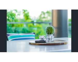 布里斯班精品公寓8/12 Barramul Street