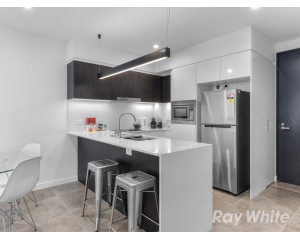 布里斯班精品公寓206/16 Camborne Street