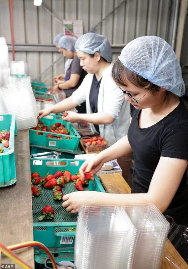 16703696-7303985-image-a-49_1564544192333.jpg,0