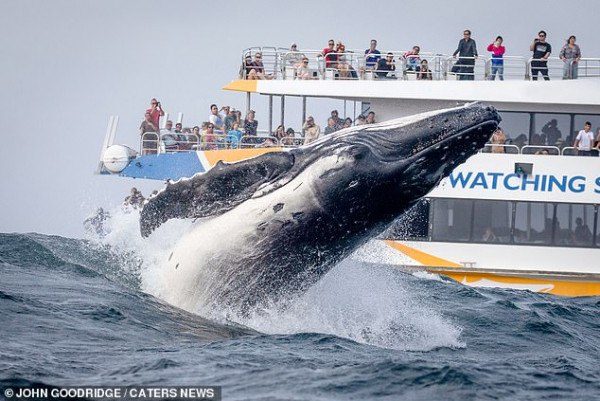 19864806-0-image-a-45_1571359148030.jpg,0