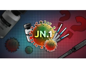 新冠JN.1入侵澳洲