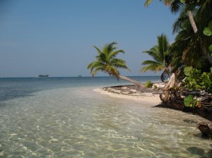 阿德莱德约克半岛投资房产