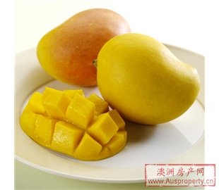 澳大利亚芒果 澳大利亚芒果