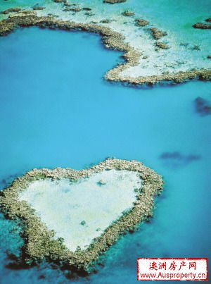 点击图片进入下一页 点击图片进入下一页