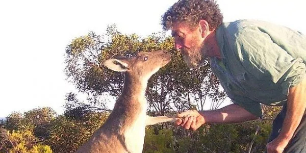澳洲人与动物和谐相处最佳典范！这一幕超温馨（组图）
